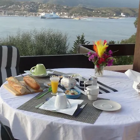 Vetricella Corse Sud Olmeto (Corsica)