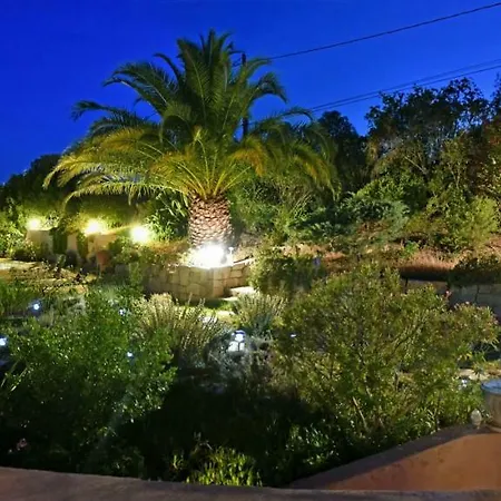 Vetricella Corse Sud Olmeto (Corsica)