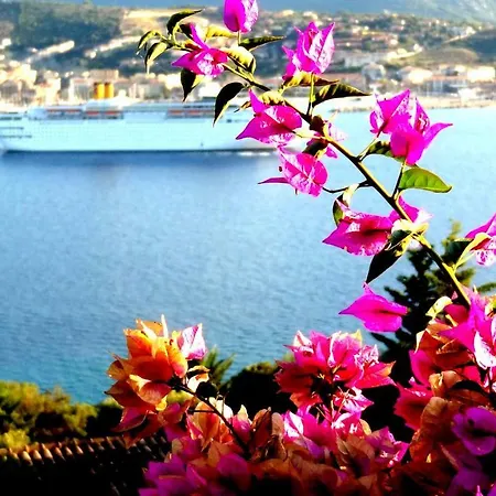 Vetricella Corse Sud 4*