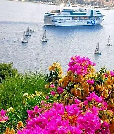 Bed & Breakfast Vetricella Corse Sud Olmeto (Corsica)