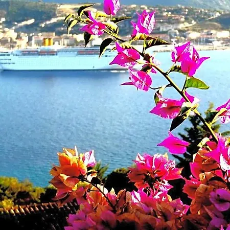 Bed & Breakfast Vetricella Corse Sud Olmeto (Corsica)