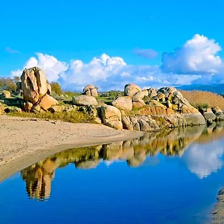 Vetricella Corse Sud