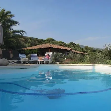 Vetricella Corse Sud