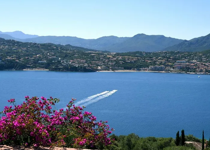 Vetricella Corse Sud ベッド・アンド・ブレックファスト オルムト