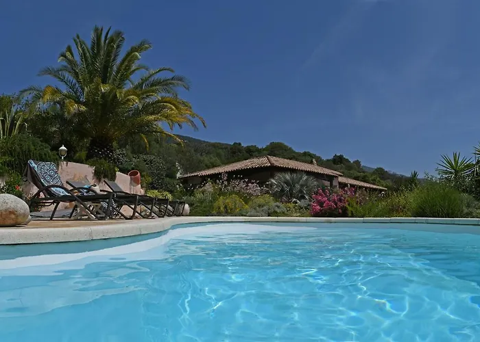 Vetricella Corse Sud ベッド・アンド・ブレックファスト