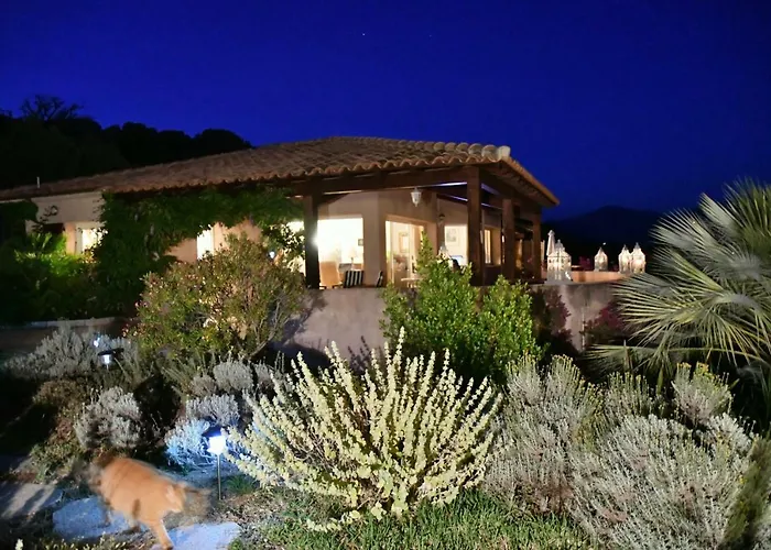 ベッド・アンド・ブレックファスト Vetricella Corse Sud